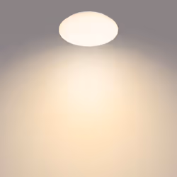 Philips Functional Moire Ceiling Light 10 W