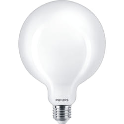 Philips Filament Bulb Frosted 120W G120 E27