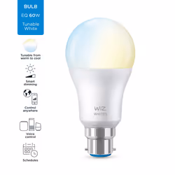 WiZ Bulb 60W A60 B22