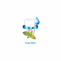 Colgate Plax Cool Mint Mouthwash, 1l