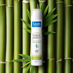 Sanex NaturProtect Fresh Efficacy 48h Deodorant Spray 200ml