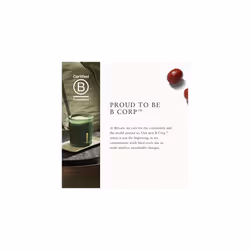Scented Candle from The Ritual of Jing, 290 gr - with Sacred Lotus & Jujube - Relaxing & Calming Properties
