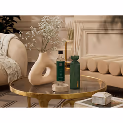 Rituals The Ritual of Jing 8719134180657 liquid air freshener Bottle Green, Transparent Lotus 250 ml