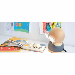 Allocacoc GoggleLamp Mr Watt wood Grey