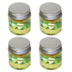 Citronella Candle Glass Jar Outdoor Garden with Lid Small 4pc