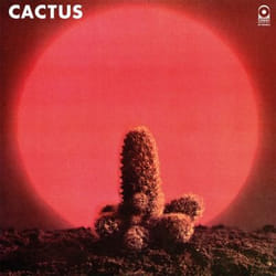 Music On Vinyl Cactus - Cactus, Vinyl