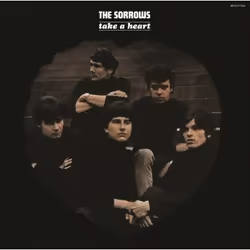 Music On Vinyl The Sorrows - Take A Heart, Vinyl, Vinyl, The Sorrows, Physical media, 17/02/2017, Side A 1. Baby 2. No No No ...