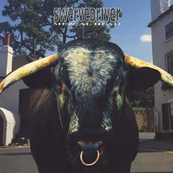 Music On Vinyl Swervedriver - Mezcal Head, Vinyl, Vinyl, Swervedriver, Physical media, 05/05/2017, Side A 1. FOR SEEKING HEAT ...