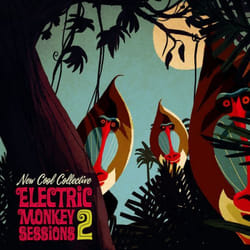 ImportCDs Electric Monkey Sessions 2 Vinyl Jazz