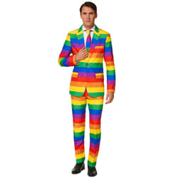 ) Mr. Rainbow SuitmeisterMen's Costume - S (EU 46