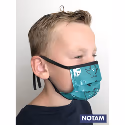 SES Creative Notam Kids masks - Dinosaur