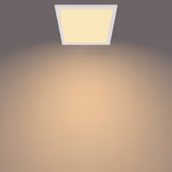 Philips Functional Panel Ceiling Ceiling Light 12 W Square