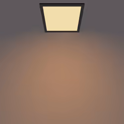 Philips Functional Panel Ceiling Ceiling Light 12 W Square