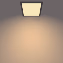 Philips Functional Panel Ceiling Ceiling Light 12 W Square
