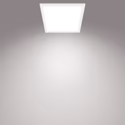 Philips Functional Panel Ceiling Ceiling Light 12 W Square