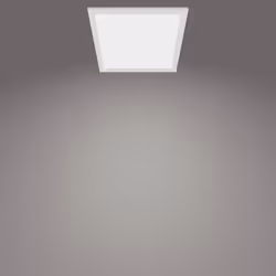 Philips Functional Panel Ceiling Ceiling Light 12 W Square