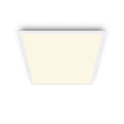 Philips Functional Panel Ceiling Ceiling Light 36 W Square