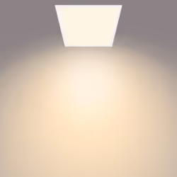 Philips Functional Panel Ceiling Ceiling Light 36 W Square