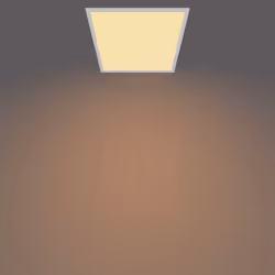 Philips Functional Panel Ceiling Ceiling Light 36 W Square