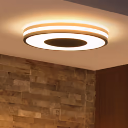 Philips Hue White ambience Being ceiling light