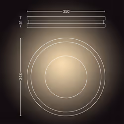 Philips Hue White ambience Being ceiling light