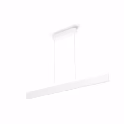 Philips Hue White and colour ambience Ensis pendant light