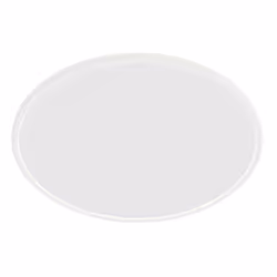 Philips Superslim Ceiling Light 15W, White, IP54, Garden, Patio, II, Contemporary, Garden, Patio