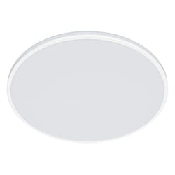 Philips Functional Ozziet Ceiling Light 22 W