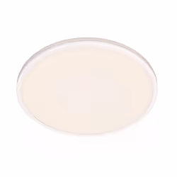 Philips Functional Ozziet Ceiling Light 22 W