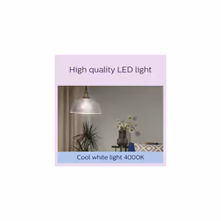 Philips Filament Bulb Clear 60W A60 E27 x6