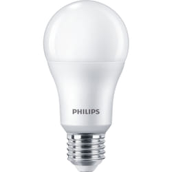 Philips Bulb 100W A67 E27 x6