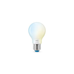 WiZ Frosted Glass Bulb 60 W A60 E27