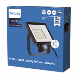 Philips Floodlight