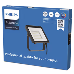 Philips Floodlight
