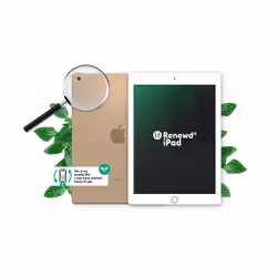 Renewd iPad 5 WiFi + 4G Gold 32GB