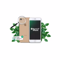 Renewd iPhone 8 Gold 64GB