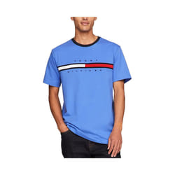 Tommy Hilfiger Mens T Shirts - Blue, XL