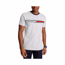 Tommy Hilfiger Mens T Shirts - Grey, XL