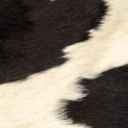 vidaXL Real Cow Hide Rug Black and White 150x170cm Area Real Cowhide Carpet