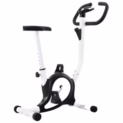 VidaXL 92009, Upright bicycle, Magnetic, 120 kg, Manual, Calories, Distance, Speed, Time, Black, White