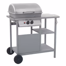 VidaXL 47394, 5500 W, Barbecue, Natural gas, Outdoor, 5500 W, Piezo