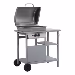 VidaXL 47394 outdoor barbecue/grill Kettle Natural gas Stainless steel 5500 W