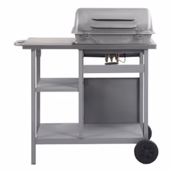VidaXL 47394 outdoor barbecue/grill Kettle Natural gas Stainless steel 5500 W