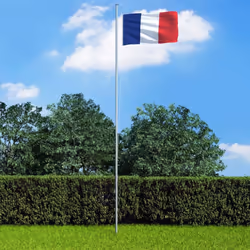 vidaXL France Flag Durable Garden Windsock With Brass Grommets National Flag