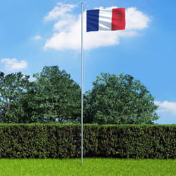vidaXL France Flag Durable Garden Windsock With Brass Grommets National Flag