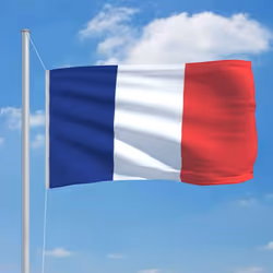 vidaXL France Flag Durable Garden Windsock With Brass Grommets National Flag