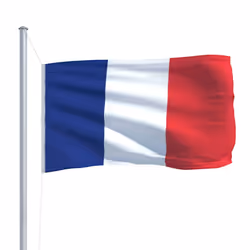 vidaXL France Flag Durable Garden Windsock With Brass Grommets National Flag