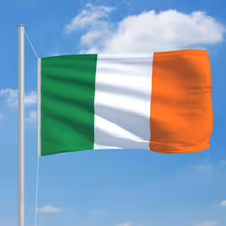 vidaXL Ireland Flag Durable Garden Windsock With Brass Grommets National Flag