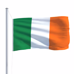 vidaXL Ireland Flag Durable Garden Windsock With Brass Grommets National Flag