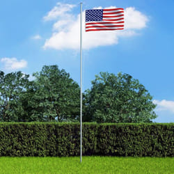 vidaXL US Flag Durable Garden Windsock With Brass Grommets National Flags